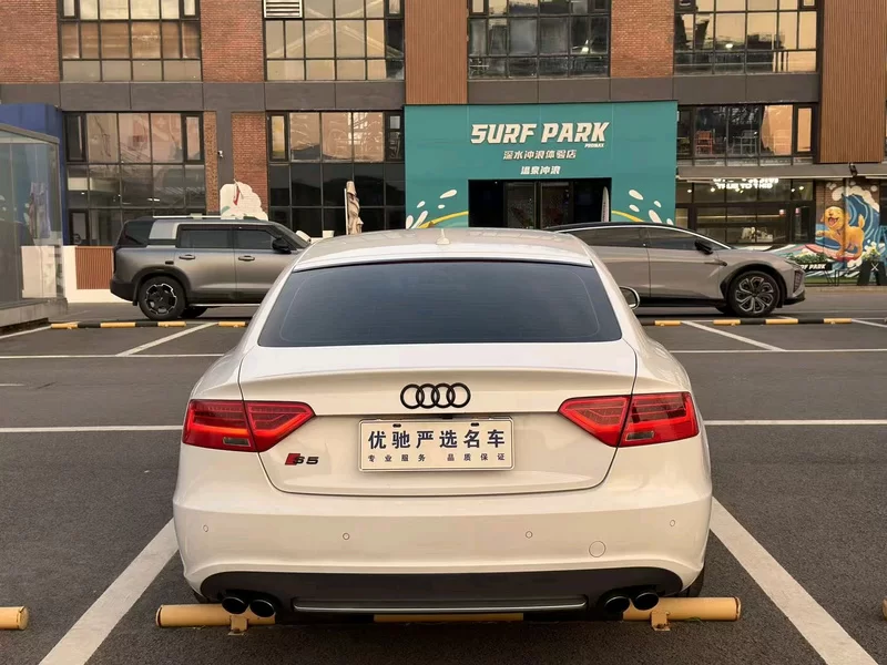 Audi S5 2012 car image #18