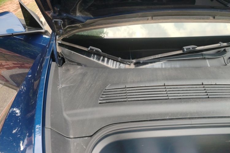 Tesla Model Y 2023 #28 Tesla Model Y 2023 car image #28