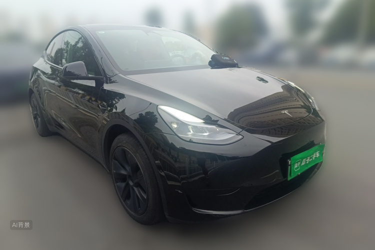 Tesla Model Y 2024 car image #4