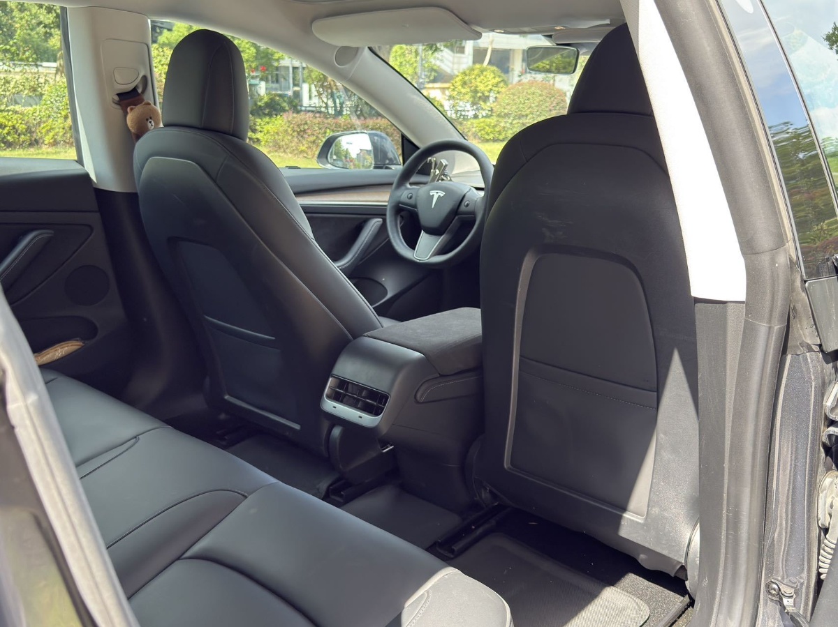 Tesla Model 3 2021 #11 Tesla Model 3 2021 car image #11