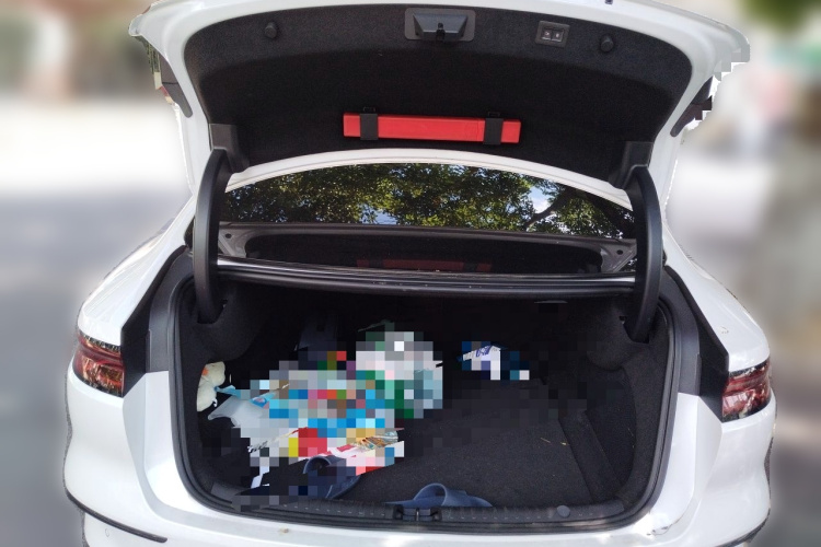 BYD Han 2022 car image #17