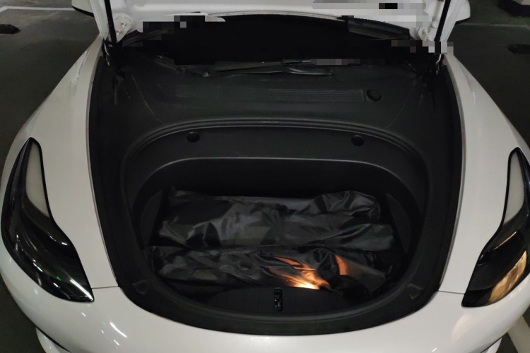 Tesla Model 3 2021 #22 Tesla Model 3 2021 car image #22