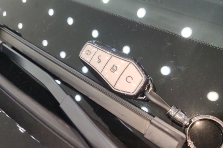 BYD Han 2024 #9 BYD Han 2024 immagine di auto #9