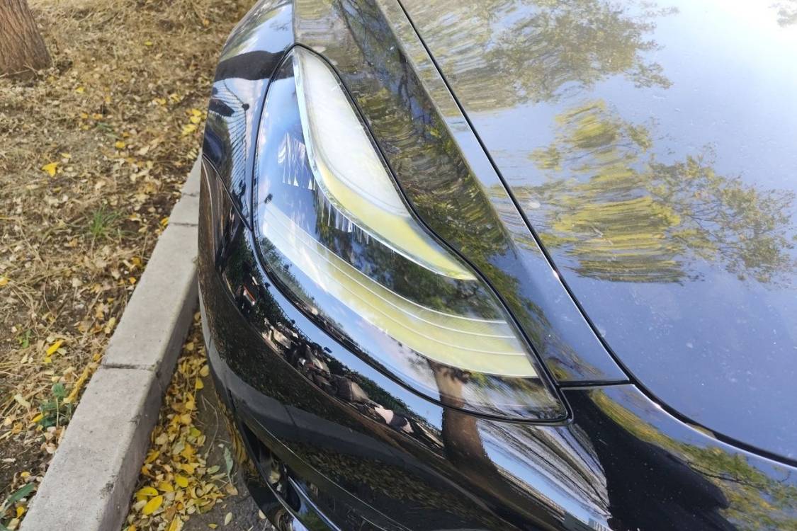 Tesla Model 3 2020 #7 Tesla Model 3 2020 car image #7