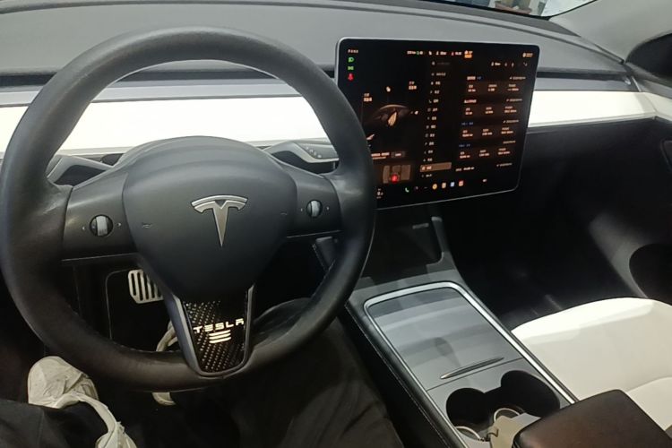 Tesla Model Y 2022 #10 Tesla Model Y 2022 car image #10
