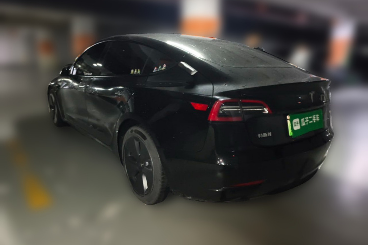Tesla Model 3 2021 #5 Tesla Model 3 2021 car image #5