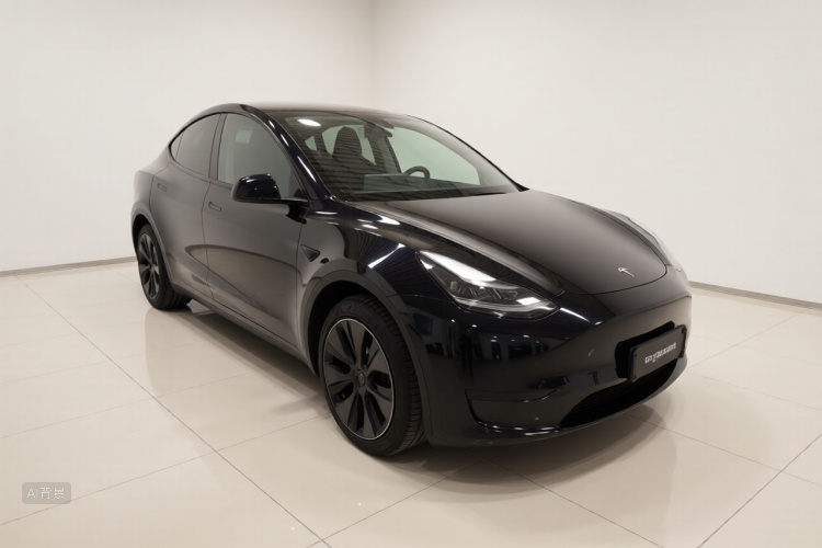 Tesla Model Y 2023 car image #4