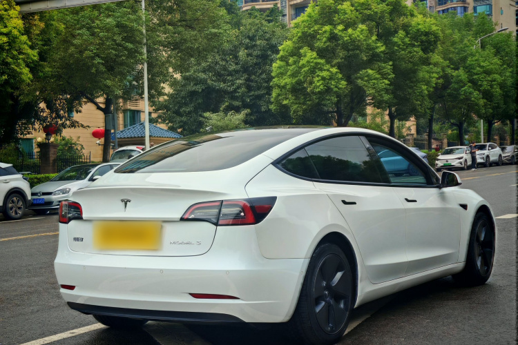 Tesla Model 3 2021 #6 Tesla Model 3 2021 car image #6