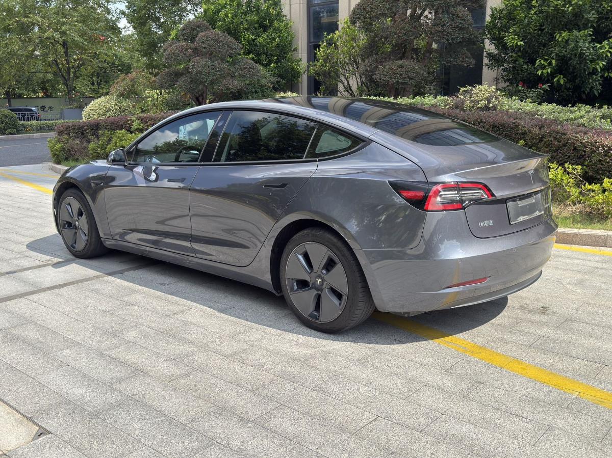Tesla Model 3 2021 #5 Tesla Model 3 2021 car image #5