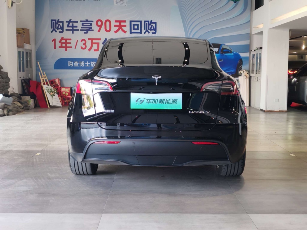 Tesla Model Y 2023 #8 Tesla Model Y 2023 car image #8