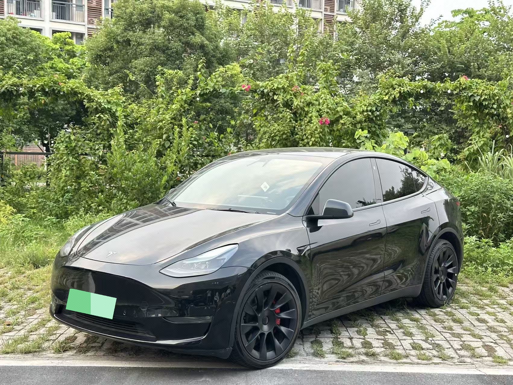 Tesla Model Y 2022 Tesla Model Y 2022 car image