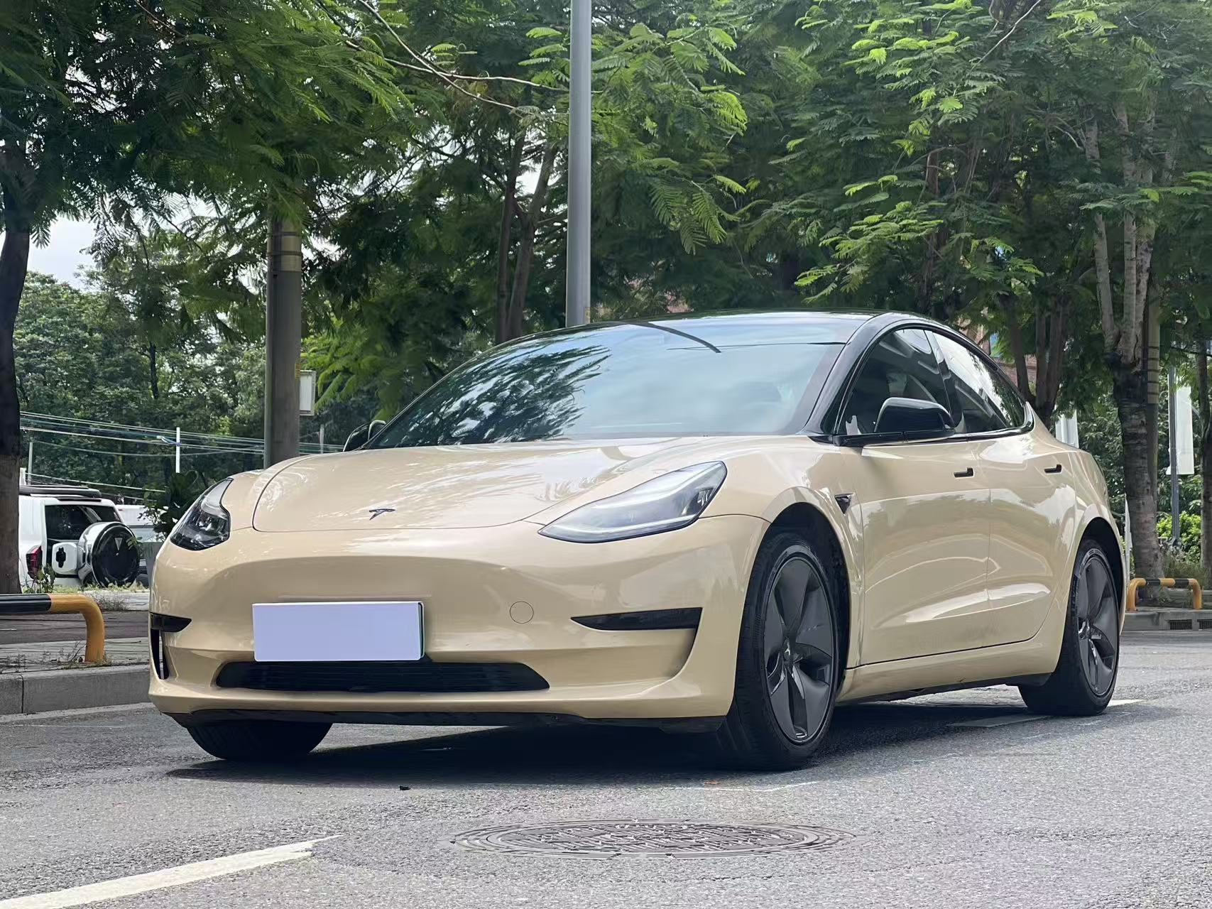 Tesla Model 3 2020 car image 
