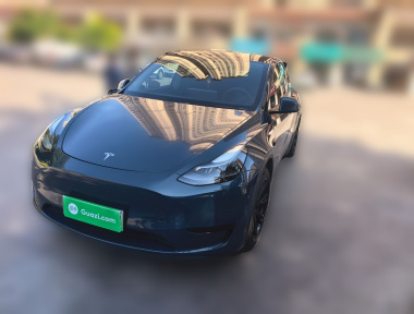 Tesla Model Y 2022 car image 