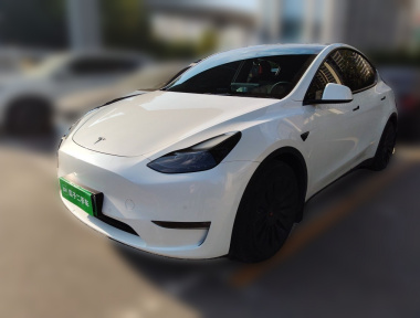 Tesla Model Y 2021 Tesla Model Y 2021 car image