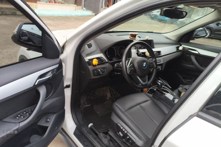 BMW X1 2019 car image #18