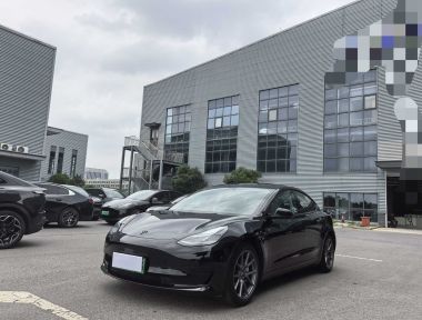 Tesla Model 3 2023 Tesla Model 3 2023 car image