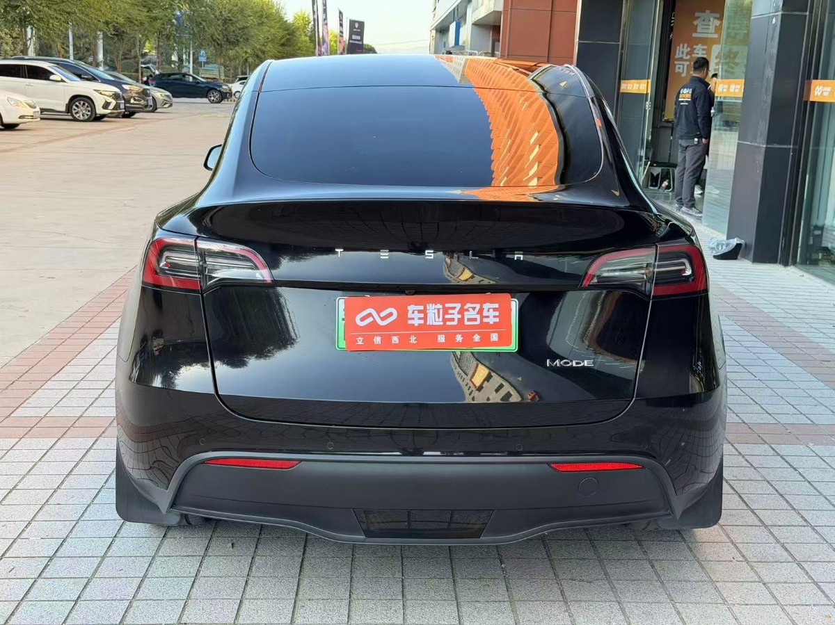 Tesla Model Y 2022 car image #10
