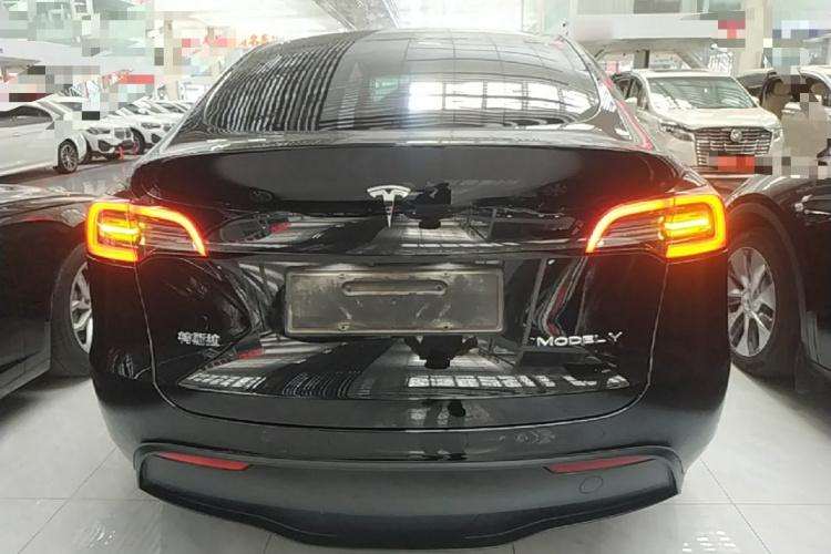 Tesla Model Y 2021 car image #6