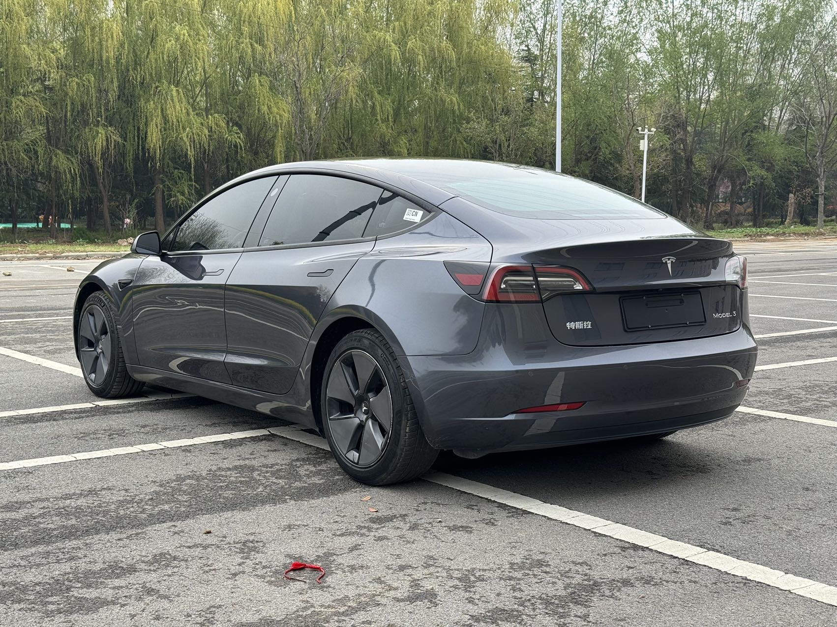 Tesla Model 3 2021 immagine di auto #6