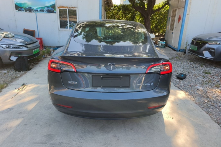 Tesla Model 3 2020 #6 Tesla Model 3 2020 car image #6