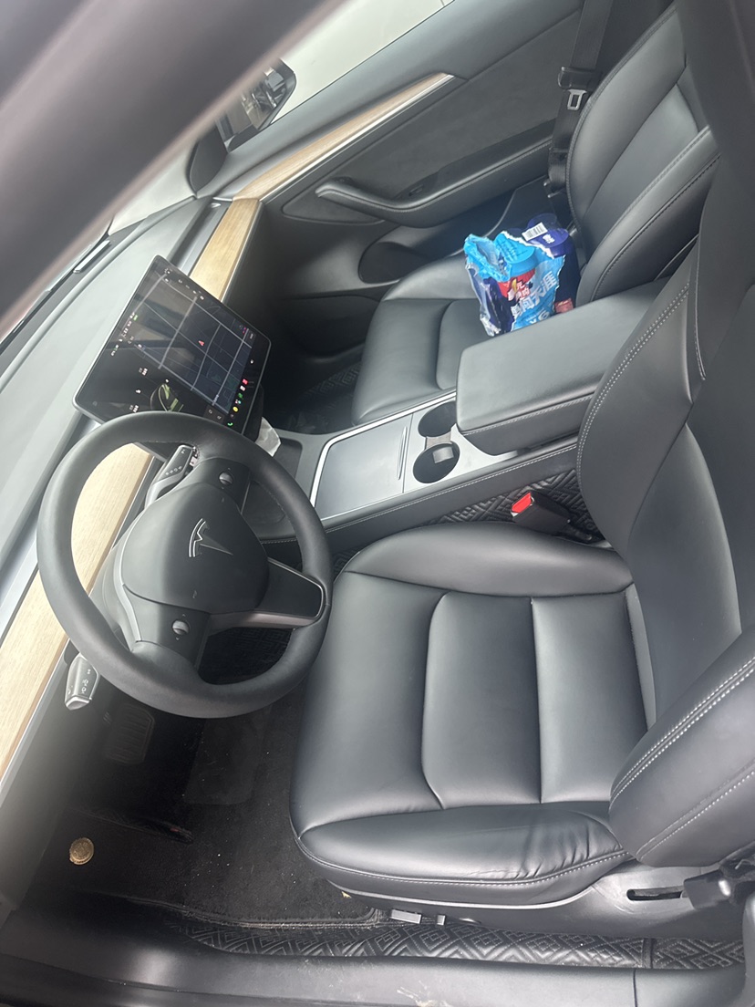 Tesla Model 3 2021 #2 Tesla Model 3 2021 car image #2