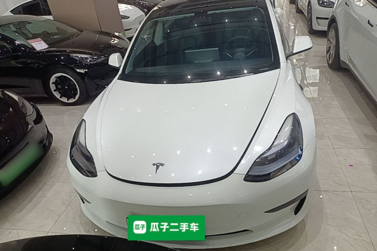 Tesla Model 3 2021 #3 Tesla Model 3 2021 car image #3