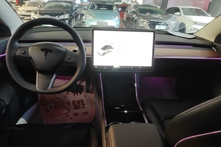 Tesla Model 3 2020 #13 Tesla Model 3 2020 car image #13