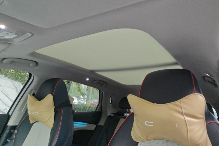 BYD Yuan Plus 2022 car image #20