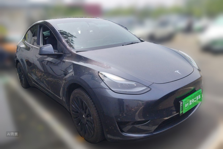 Tesla Model Y 2023 immagine di auto #4