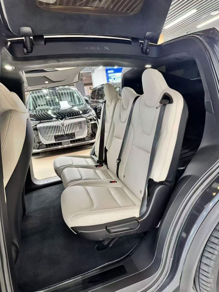Tesla Model X 2023 car image #4