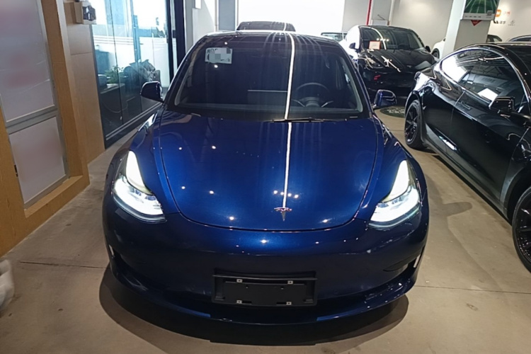 Tesla Model 3 2021 #3 Tesla Model 3 2021 car image #3