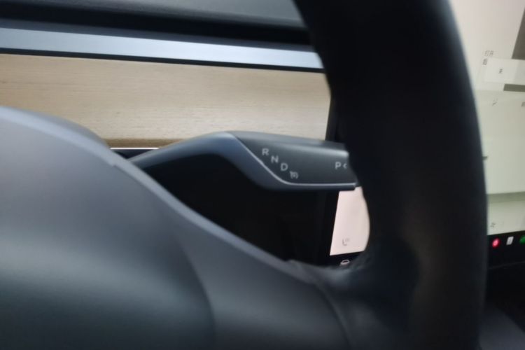 Tesla Model 3 2021 car image #14