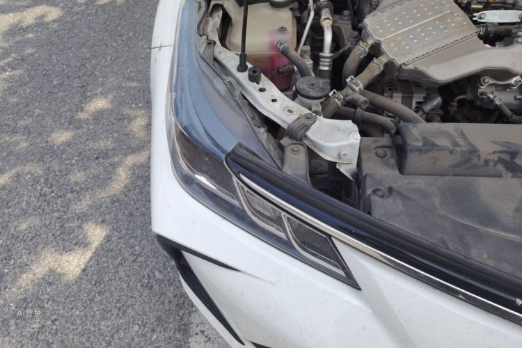 Toyota Corolla 2021 car image #8