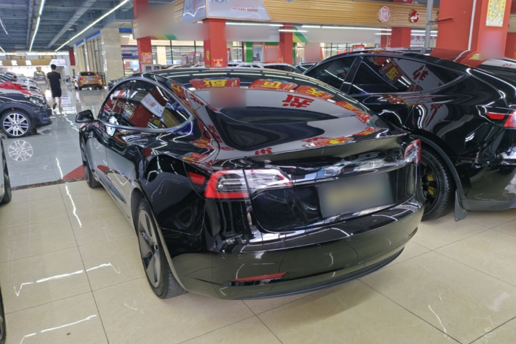 Tesla Model 3 2023 #5 Tesla Model 3 2023 car image #5