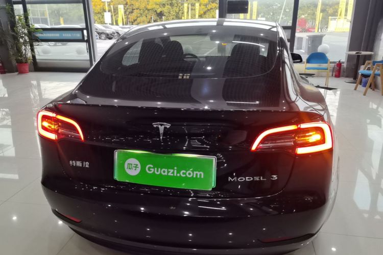 Tesla Model 3 2020 car image #4