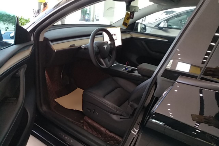 Tesla Model Y 2011 #12 Tesla Model Y 2011 immagine di auto #12