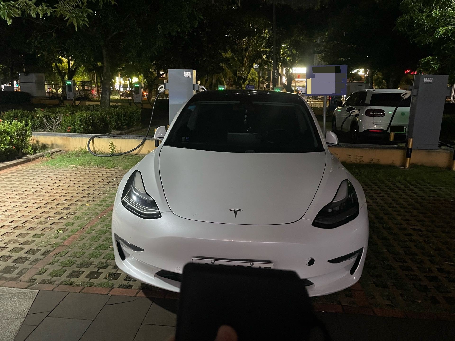 Tesla Model 3 (Imported) 2020 car image #2