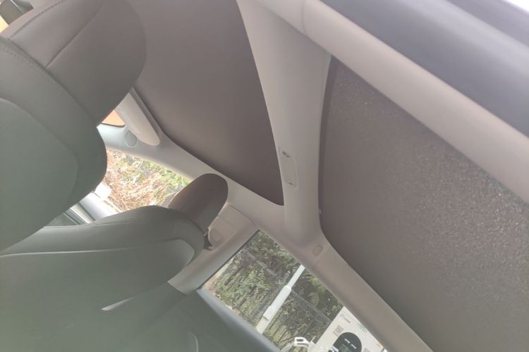 Tesla Model 3 2021 imagem de carro #20