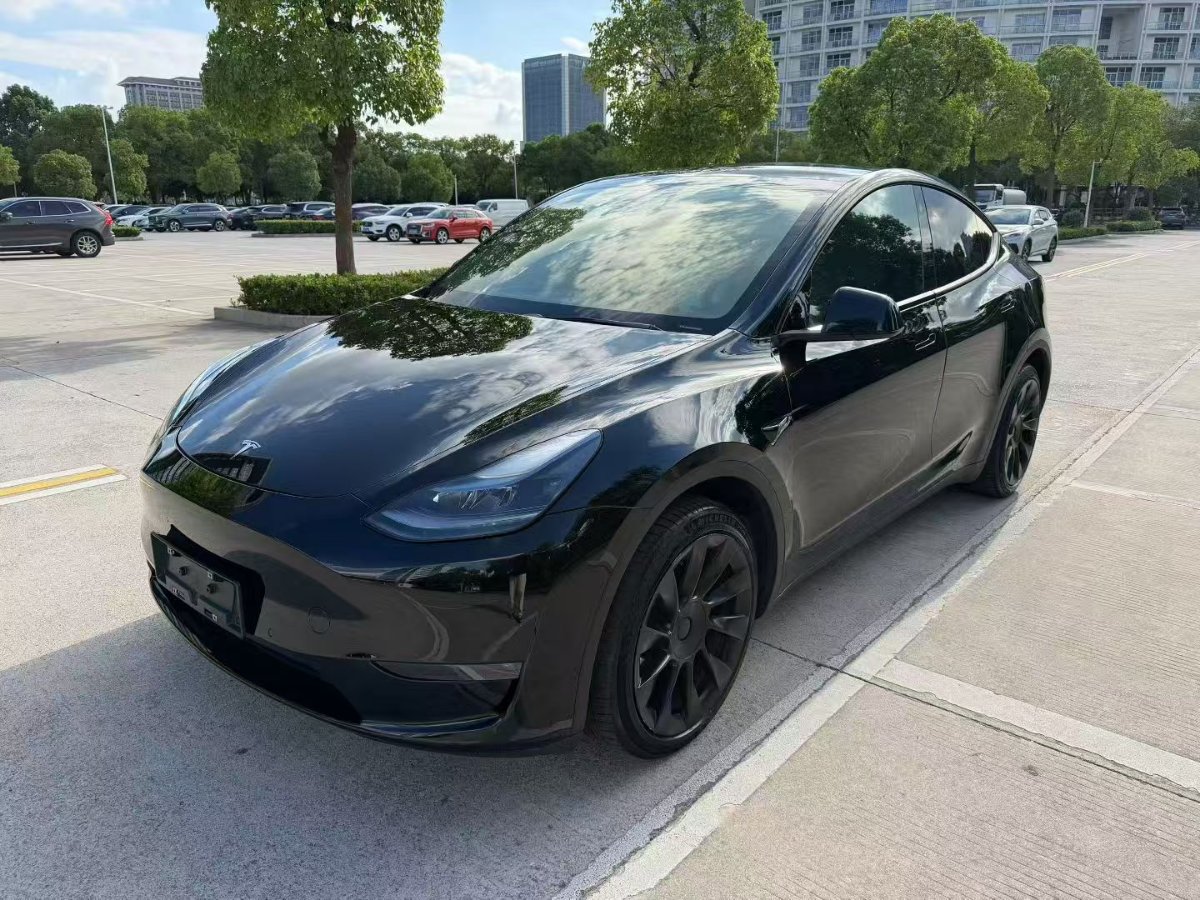 Tesla Model Y 2023 Tesla Model Y 2023 car image
