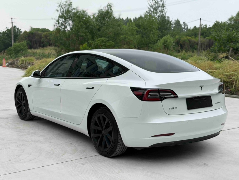 Tesla Model 3 2021 #6 Tesla Model 3 2021 car image #6