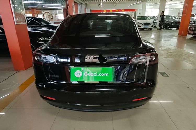 Tesla Model 3 2020 car image #6