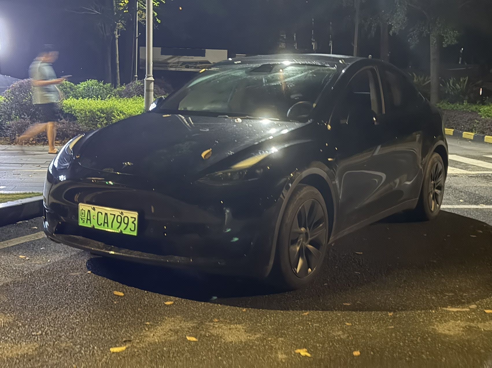 Tesla Model Y 2024 immagine di auto 