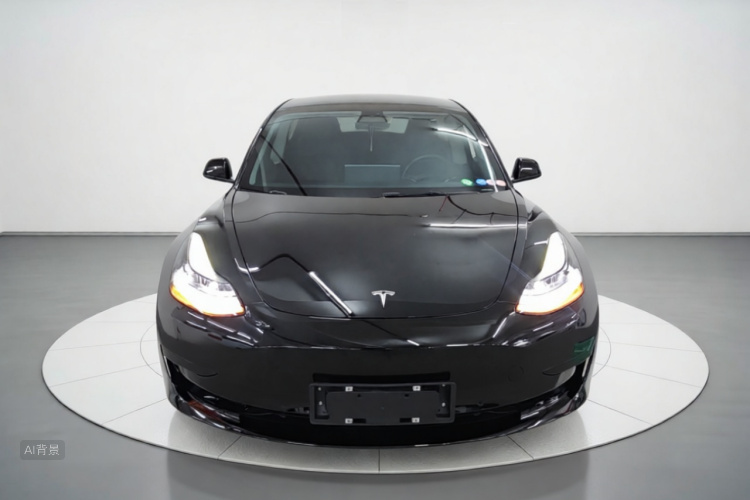 Tesla Model 3 2023 #3 Tesla Model 3 2023 car image #3