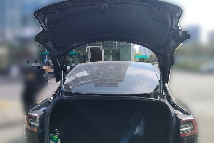 Tesla Model 3 2020 car image #17