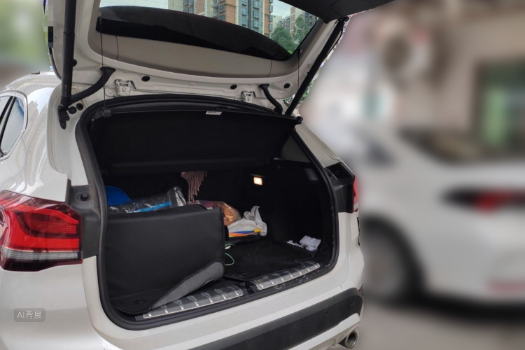 BMW X1 2021 imagen de coche #21