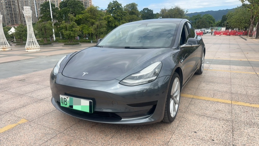 Tesla Model 3 2020 Tesla Model 3 2020 car image