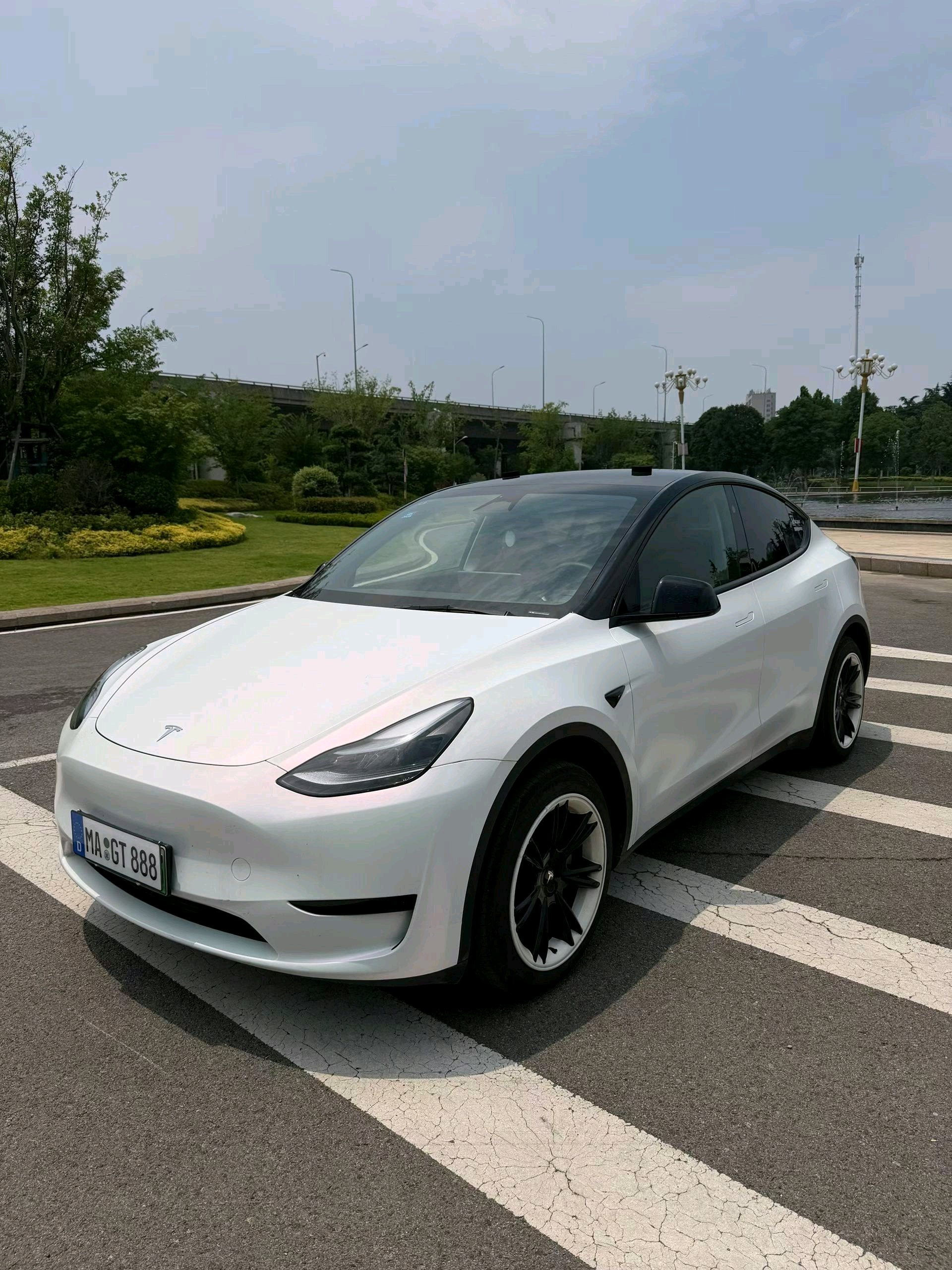 Tesla Model Y 2024 car image 