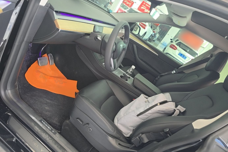 Tesla Model Y 2023 car image #15