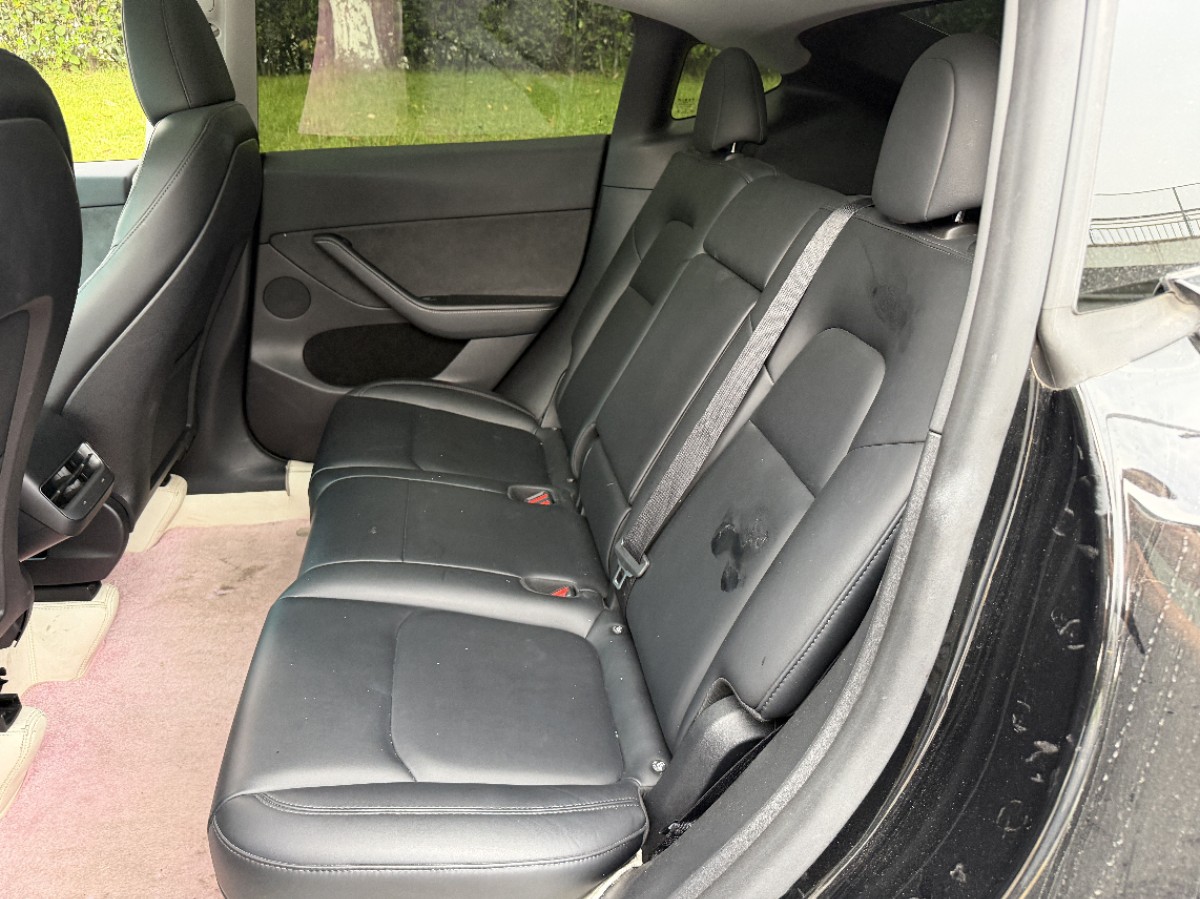 Tesla Model Y 2023 car image #11