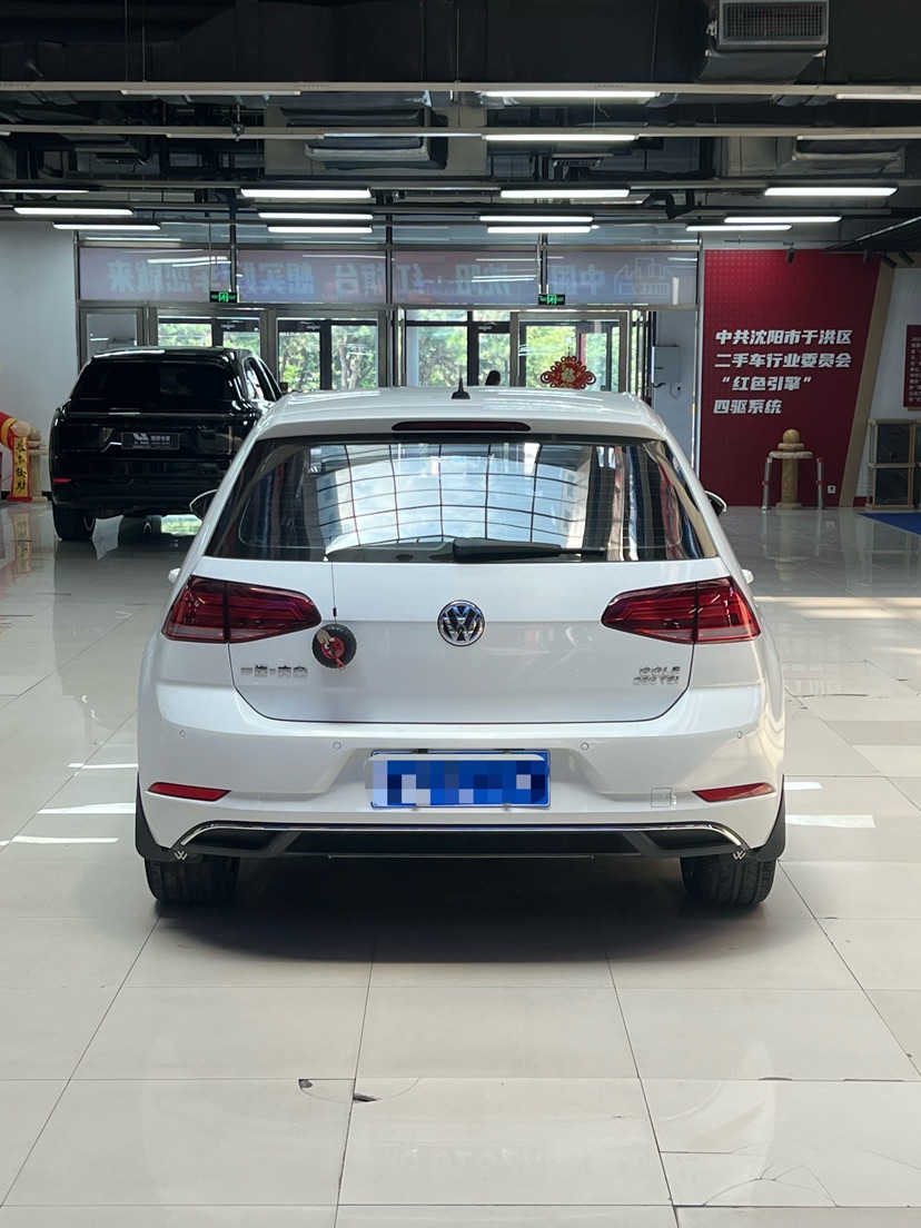 Volkswagen Golf 2019 car image #8